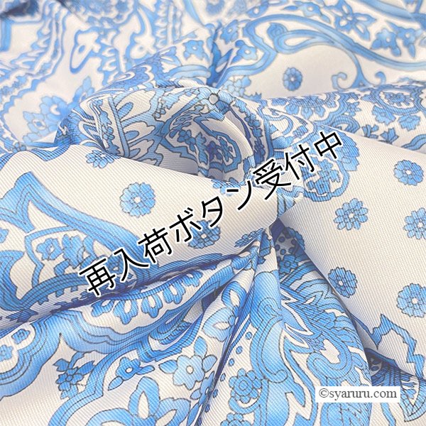 画像11: 【SALE 50％ 2026春夏SuperBeauty】ペイズリー柄Vネックワンピース (11)