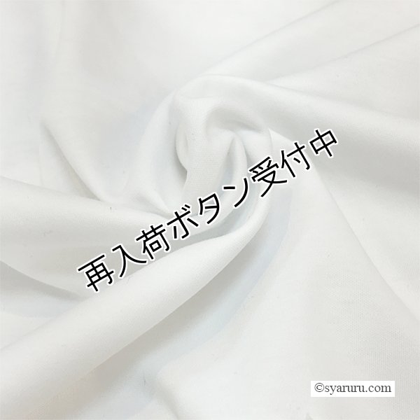 画像14: 【SUMMER SALE30％ 2026春夏SuperBeauty】胸元Parisモチーフプリント レース切替xパフ袖ロングTシャツ (14)