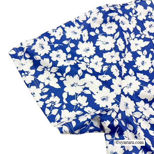 画像5: 【  《新作》SuperBeauty クーポン1111(10%OFF)他　利用可】ブルー系フラワープリント裾レース使いワンピース (5)