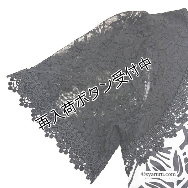 画像5: 【SALE 50％ 2026春夏SuperBeauty】袖レース使いモノトーン柄ワンピース (5)