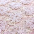 画像7: 2623002【 新作 SuperBeauty 2026 秋冬 】 (7)