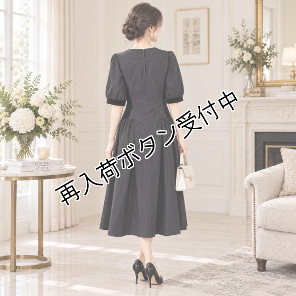 画像3: ベロア×タフタ素材スパンコール使いロングワンピース【 新作 SuperBeauty 2026 秋冬 】 (3)