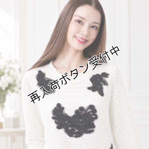 画像2: レース×ビーズ使いウェスト切替チュニックカットソー【 新作 SuperBeauty 2026 秋冬 】 (2)